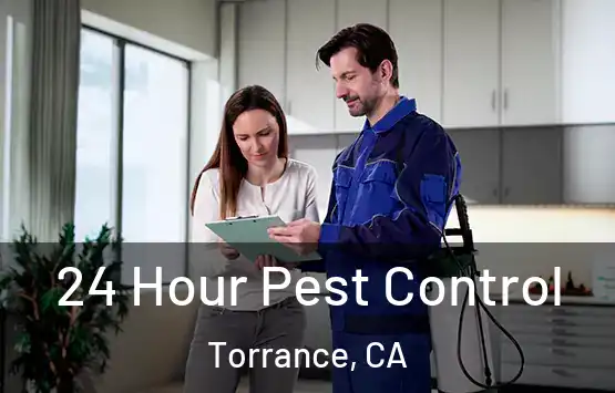  24 Hour Pest Control Torrance, CA