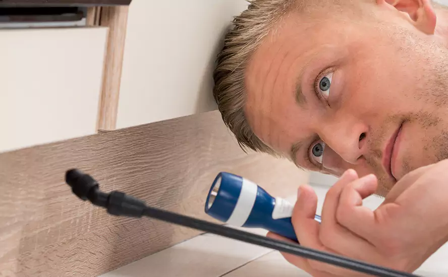 Top-Notch Pest Control in Torrance