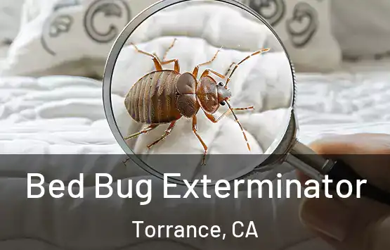  Bed Bug Exterminator Torrance, CA