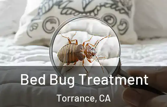  Bed Bug Treatment Torrance, CA
