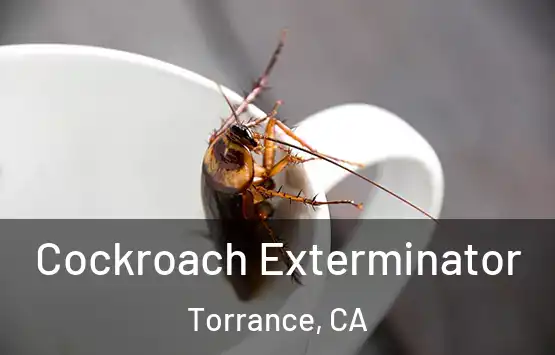  Cockroach Exterminator Torrance, CA
