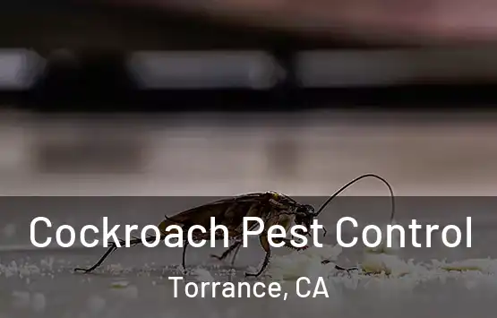  Cockroach Pest Control Torrance, CA