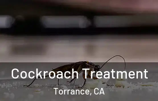  Cockroach Treatment Torrance, CA
