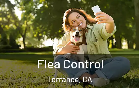  Flea Control Torrance, CA