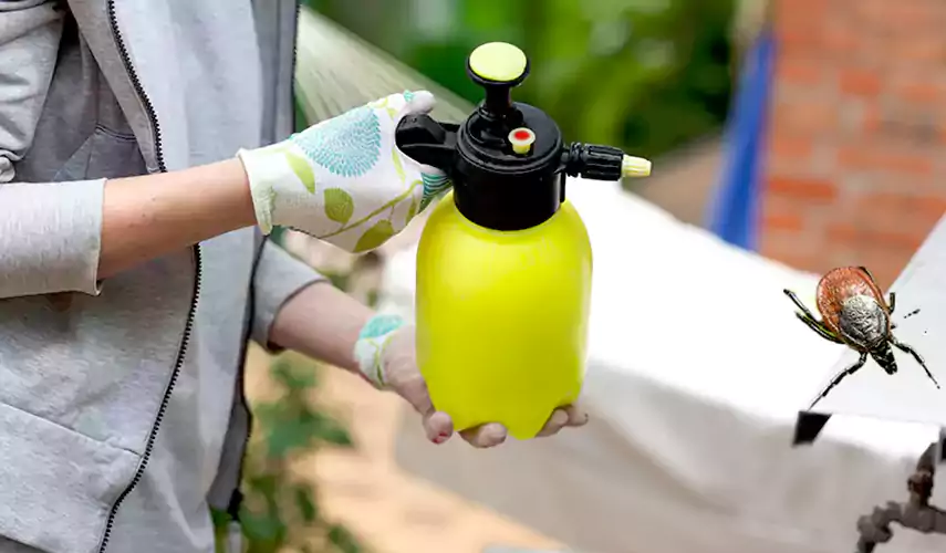 Ticks Pest Control Torrance, California