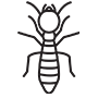 Termites Pest Control Torrance, California