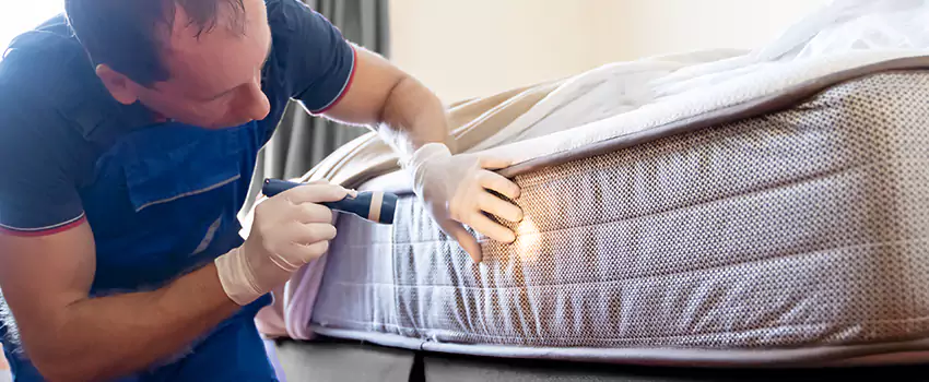 bed-bug-exterminator in Torrance, CA