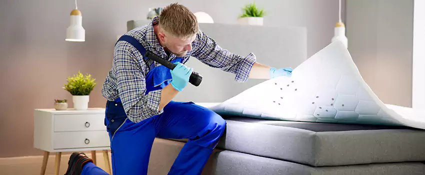 bed-bug-treatment in Torrance, CA