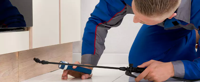 Ant Control for Bedrooms in Torrance, CA