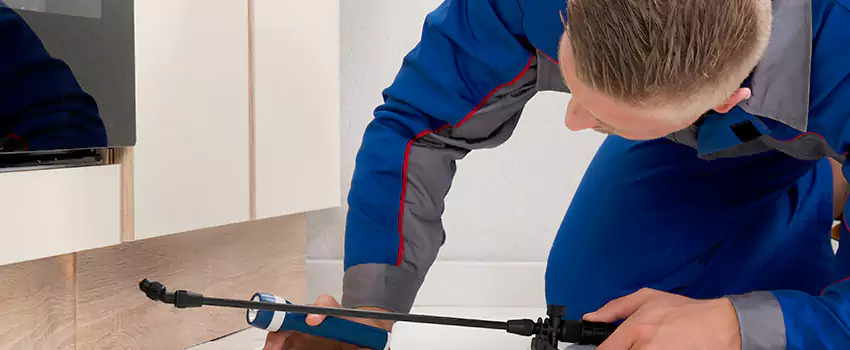 Termite Control for Children and Pets in Torrance, CA