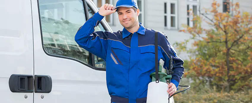 Whitefly Treatment for Bedrooms Torrance, CA