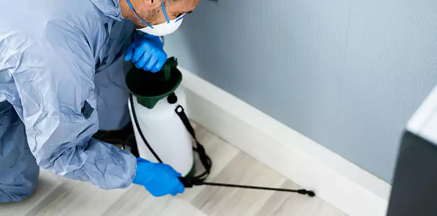 commercial-pest-exterminator in Torrance, CA
