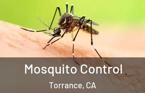  Mosquito Control Torrance, CA