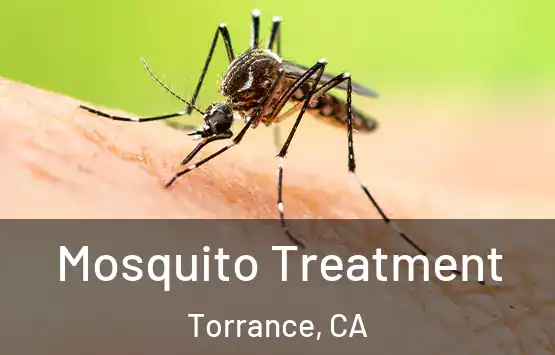  Mosquito Treatment Torrance, CA