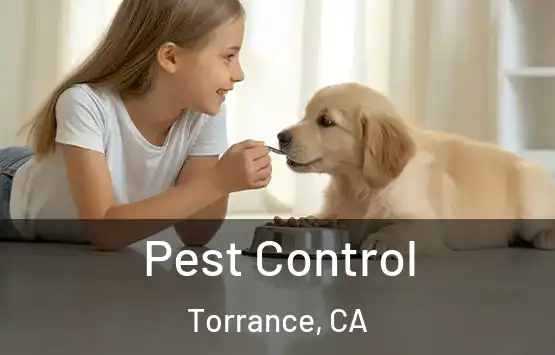  Pest Control Torrance, CA