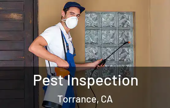 Pest Inspection Torrance, CA