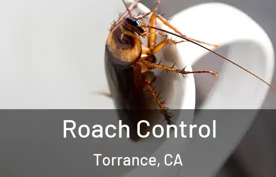  Roach Control Torrance, CA