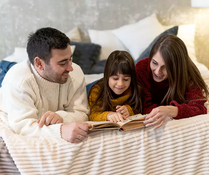 About Bed Bug Pest Control Torrance