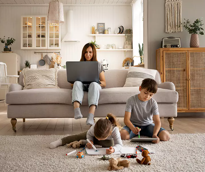 About Mice Control Torrance