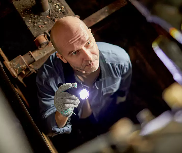 About Pest Inspection Torrance