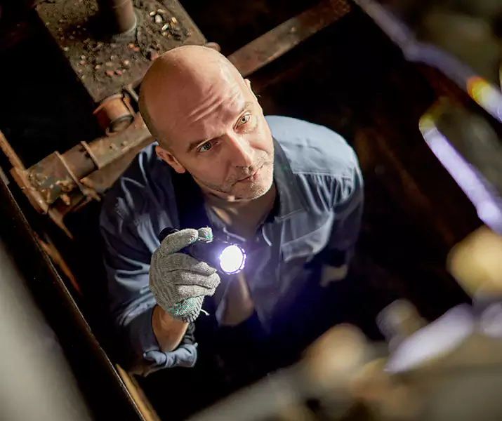 About Rat Inspection Torrance