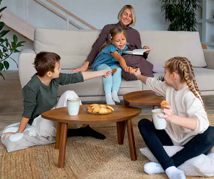 About Spider Exterminator Torrance