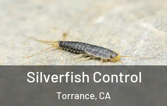  Silverfish Control Torrance, CA