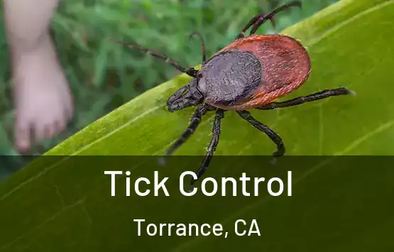  Tick Control Torrance, CA